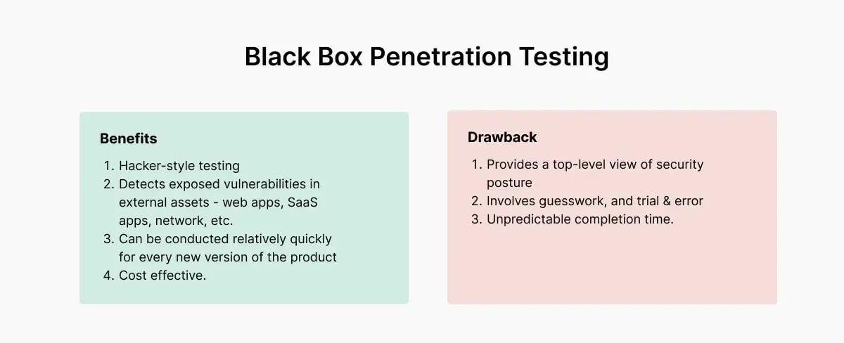 black-box-pentest-pros-cons